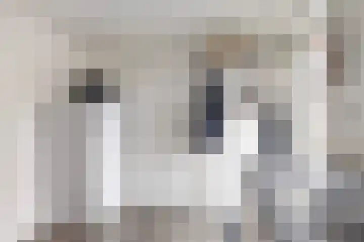 Krimpenwei 24 Blije thumbnail 19