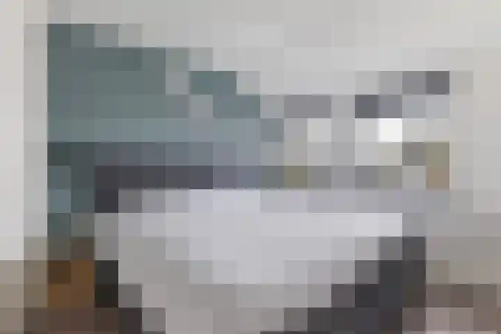 Krimpenwei 24 Blije thumbnail 25
