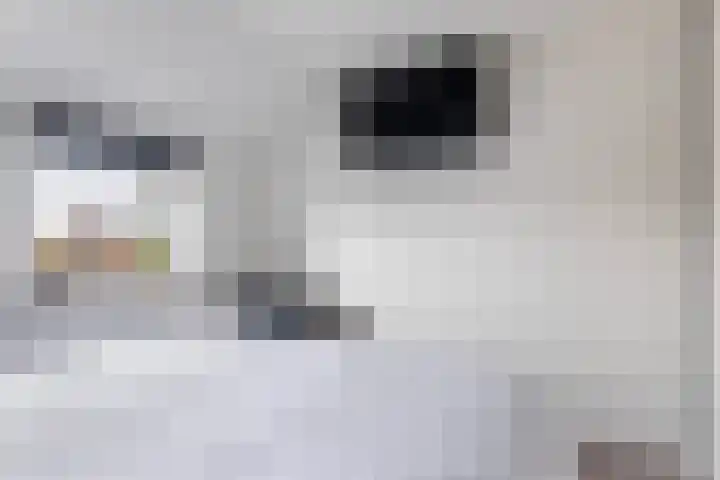 Krimpenwei 24 Blije thumbnail 26