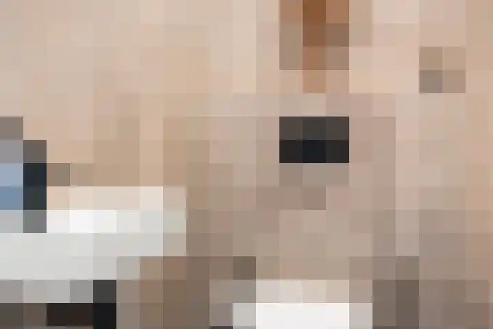 Krimperij 18 Ede thumbnail 25