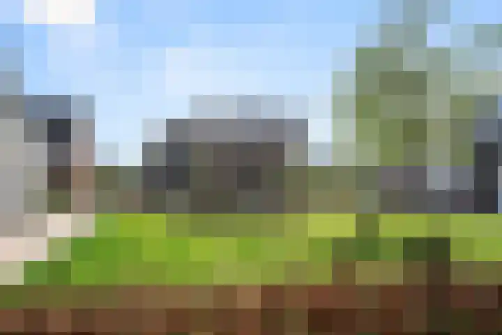 Krimperij 18 Ede thumbnail 6