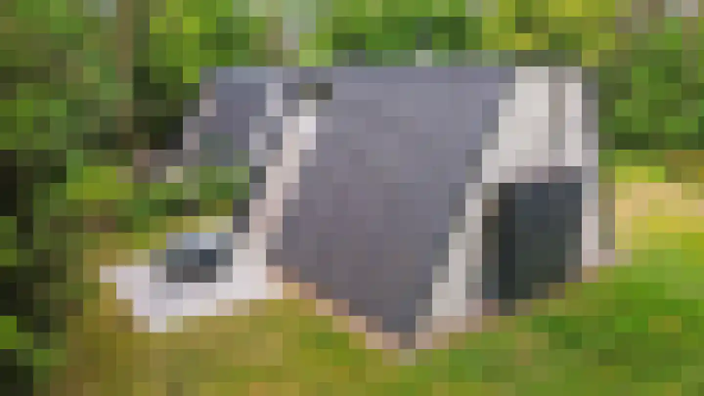 Krimweg 140 A 7 Hoenderloo thumbnail 23