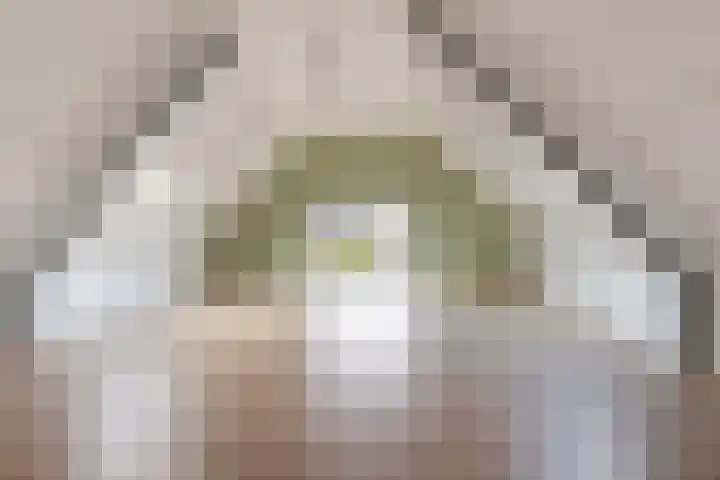 Krimweg 20 Hoenderloo thumbnail 14