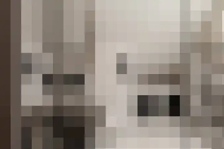 Krimweg 20 Hoenderloo thumbnail 5