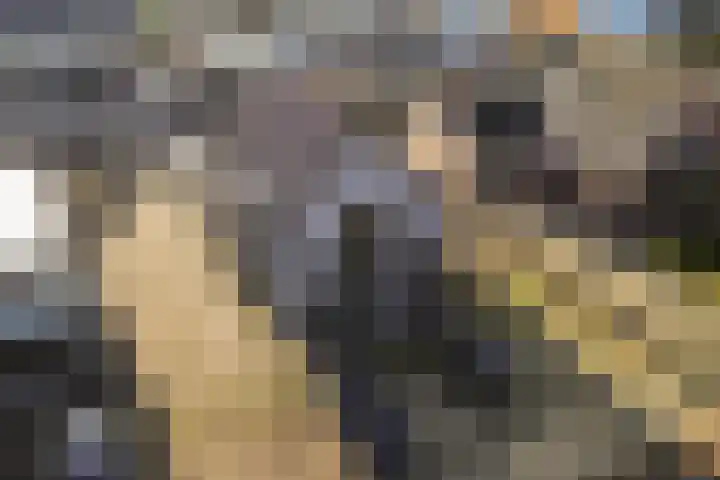Krimweg 20 Hoenderloo thumbnail 6