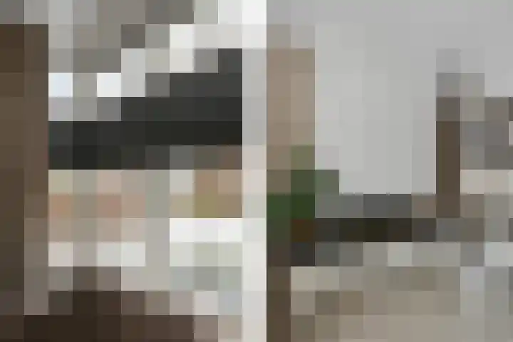 Kringgreppel 10 Nederweert-Eind thumbnail 10
