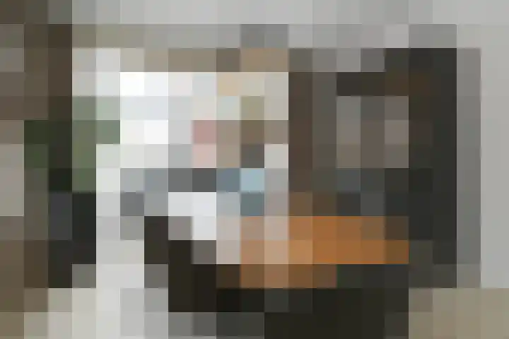 Kringgreppel 10 Nederweert-Eind thumbnail 12