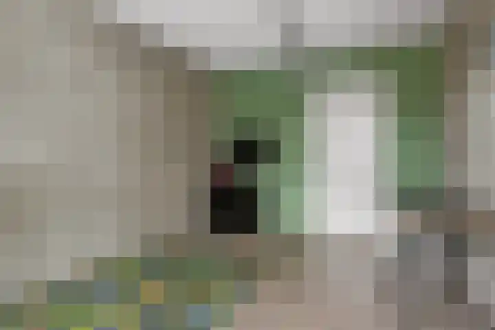 Kringgreppel 10 Nederweert-Eind thumbnail 18