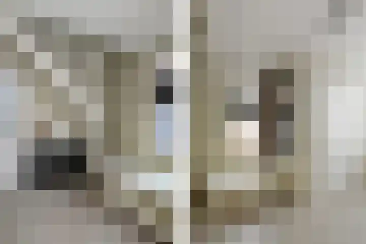Kringgreppel 10 Nederweert-Eind thumbnail 19