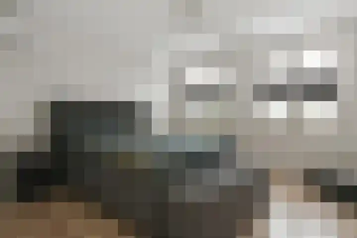 Kringgreppel 10 Nederweert-Eind thumbnail 20