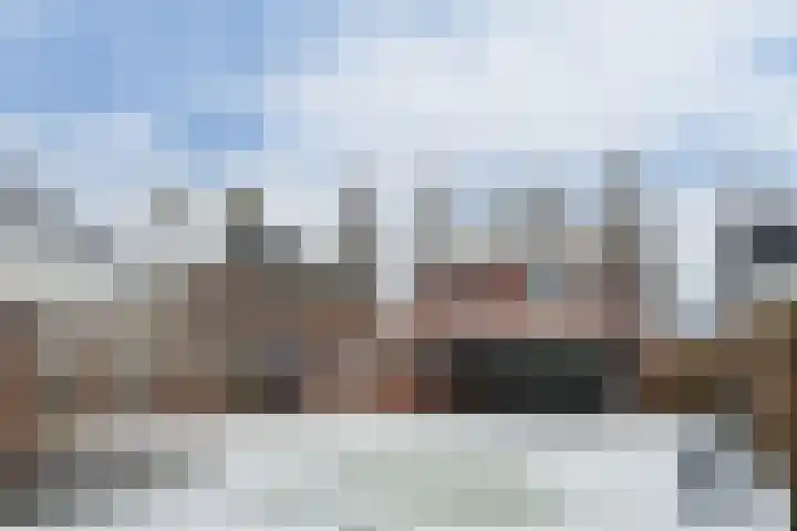 Kringgreppel 10 Nederweert-Eind thumbnail 5