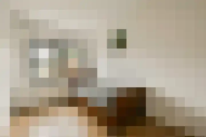 Kringloop 126 Amstelveen thumbnail 23