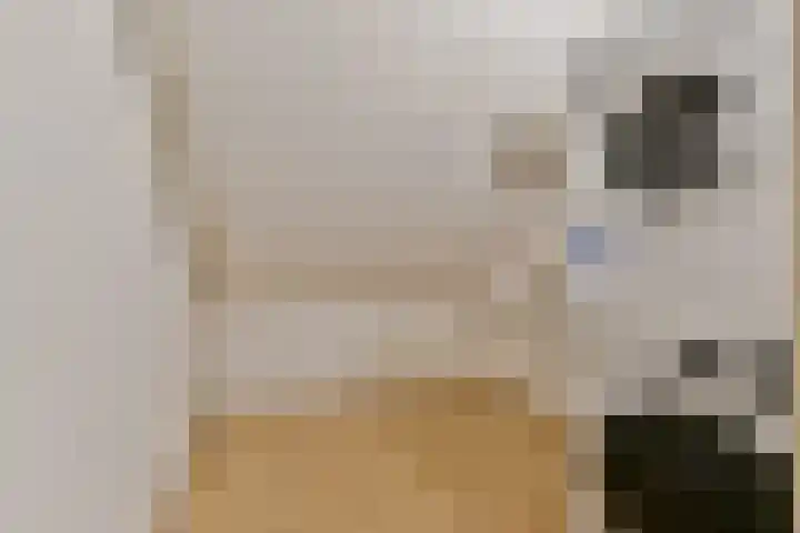 Kringloop 126 Amstelveen thumbnail 31