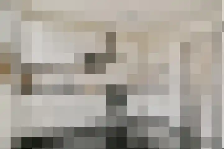 Kringloop 126 Amstelveen thumbnail 8