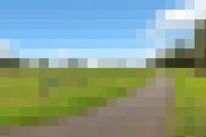 Kringloop 299 Amstelveen thumbnail 34