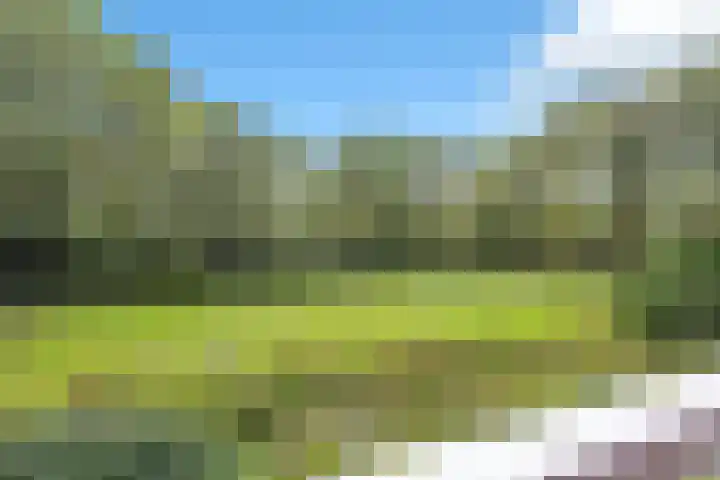 Kringloop 299 Amstelveen thumbnail 4
