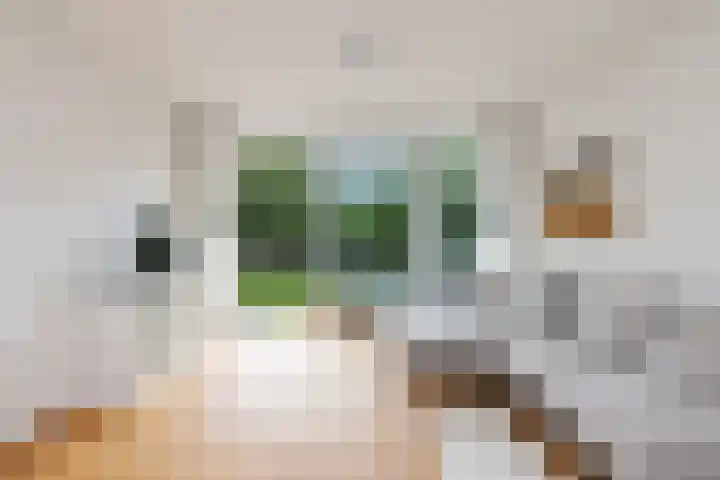 Kringloop 299 Amstelveen thumbnail 9