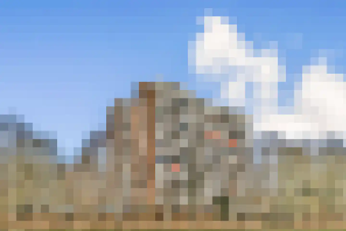 Kringloop 335 in Amstelveen