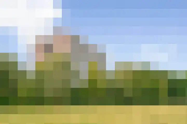 Kringloop 421 Amstelveen