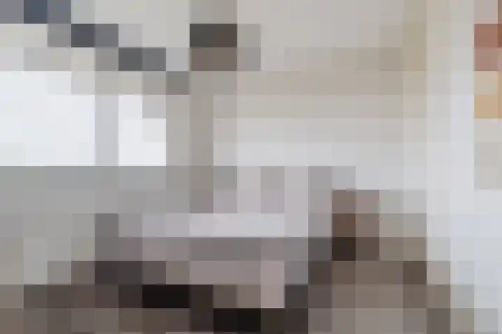 Kringloop 89 Amstelveen thumbnail 18