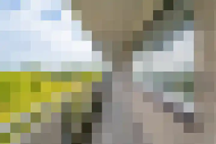 Kringloop 89 Amstelveen thumbnail 27