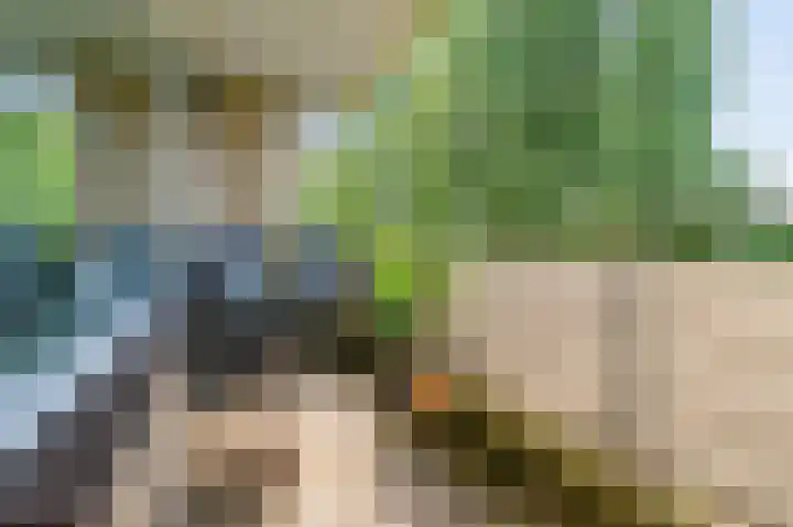 Kringloop 89 Amstelveen foto 3