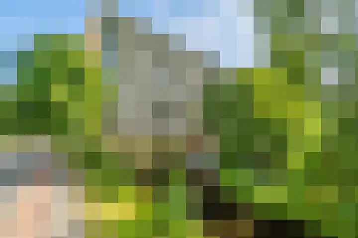 Kringloop 89 Amstelveen thumbnail 32