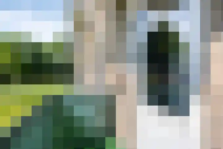 Kritostraat 34 Rotterdam thumbnail 22