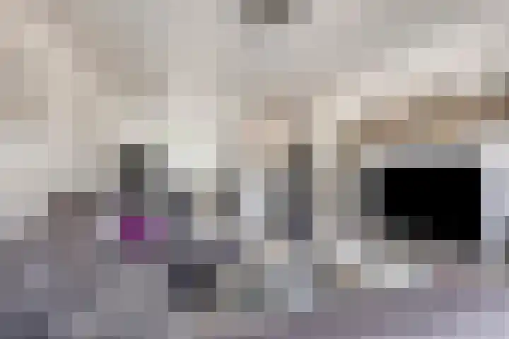 Kritostraat 34 Rotterdam thumbnail 5