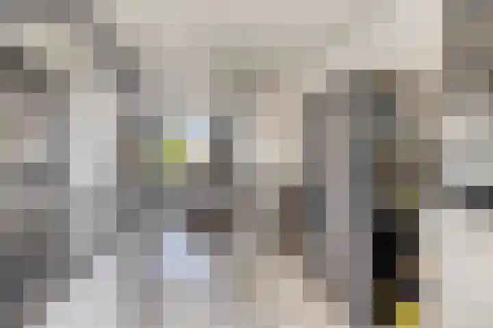 Kritostraat 34 Rotterdam thumbnail 9