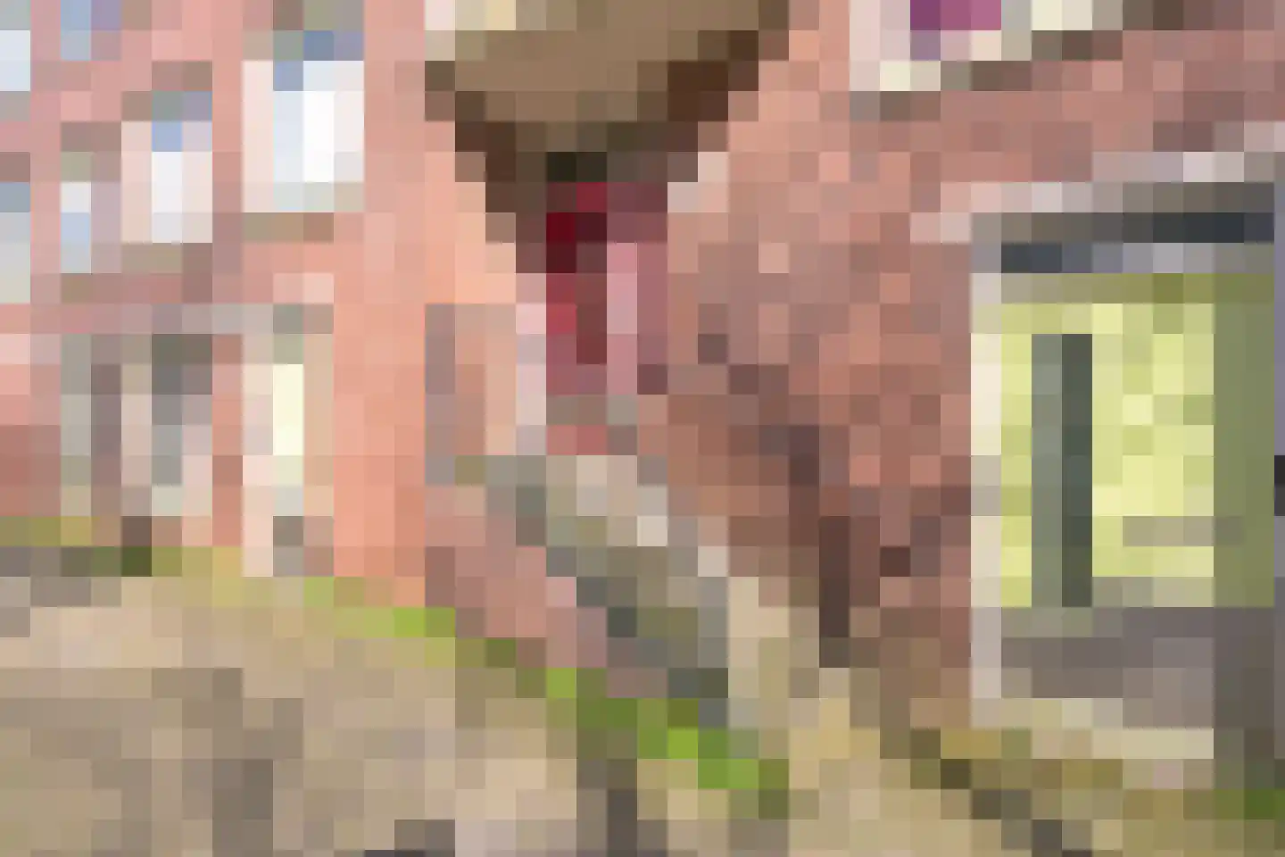 Kritzingerstraat 58 Den Haag thumbnail 8