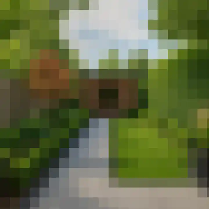 Kroanenburg 2 St.-Annaparochie thumbnail 30