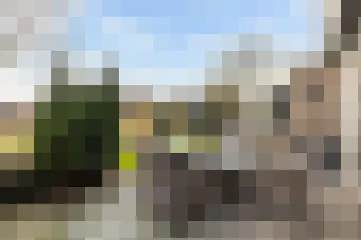 Kroanenburg 2 St.-Annaparochie thumbnail 38