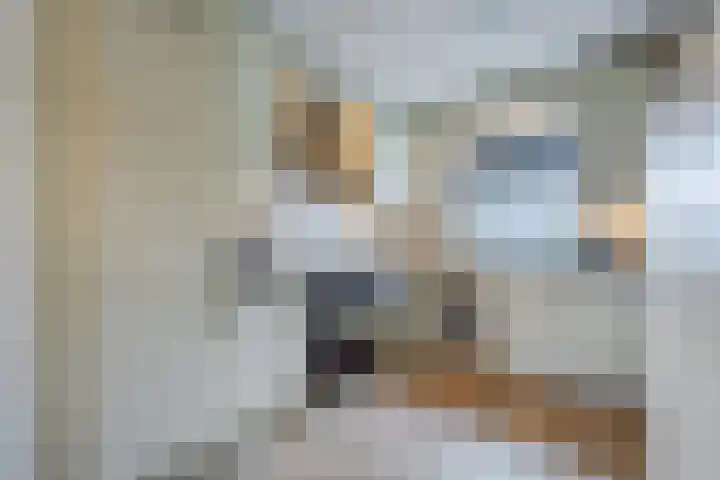 Kroezel 2 Uden thumbnail 11