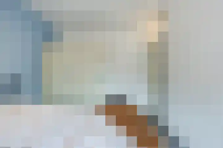 Kroezel 2 Uden thumbnail 16