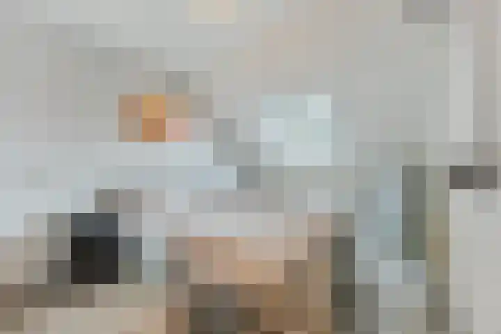 Kroezel 2 Uden thumbnail 17