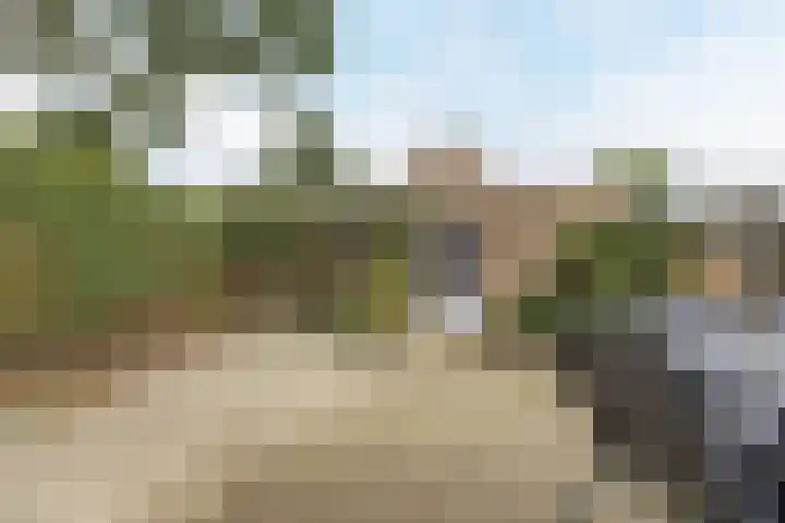 Kroezel 2 Uden thumbnail 33