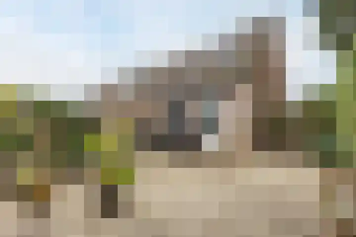 Kroezel 2 Uden thumbnail 34