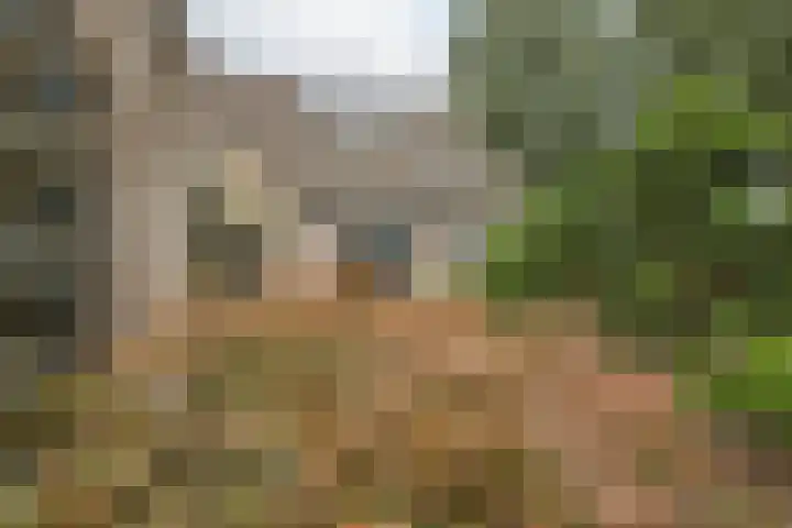 Kroezel 2 Uden thumbnail 35