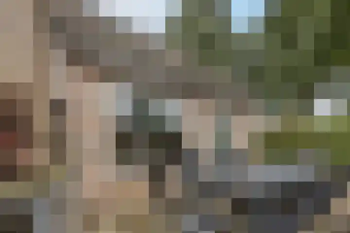 Kroezel 2 Uden thumbnail 36