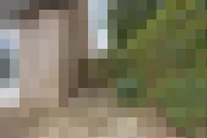 Kroezel 2 Uden thumbnail 37