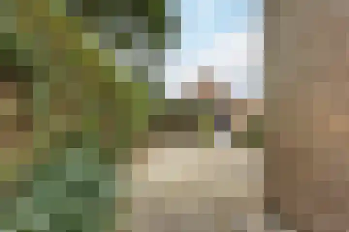 Kroezel 2 Uden thumbnail 38