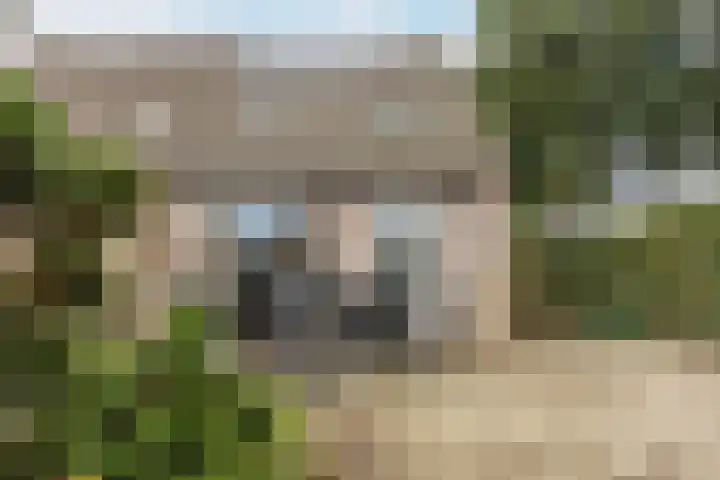 Kroezel 2 Uden thumbnail 39