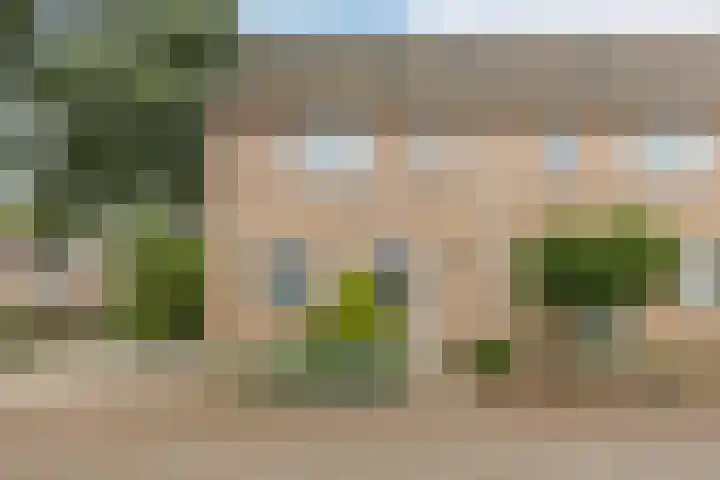 Kroezel 2 Uden thumbnail 4
