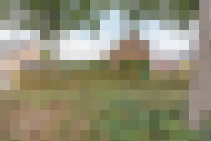 Kroezel 2 Uden thumbnail 40
