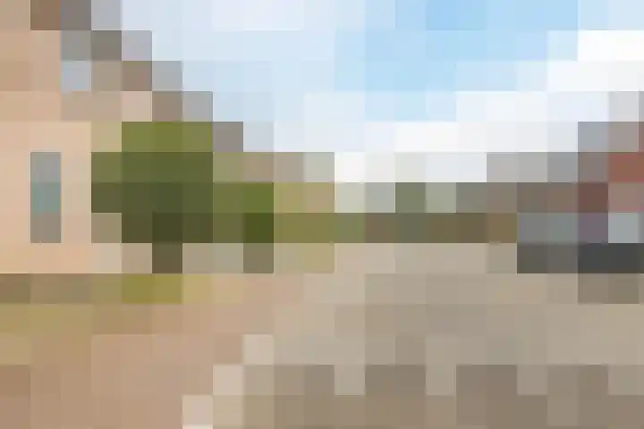 Kroezel 2 Uden thumbnail 42