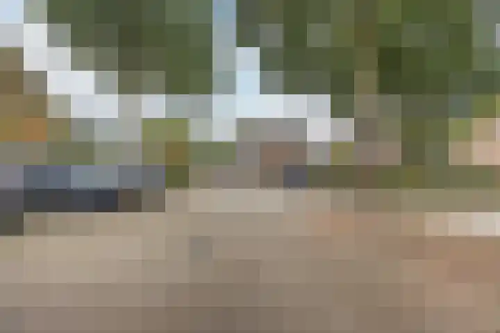 Kroezel 2 Uden thumbnail 43