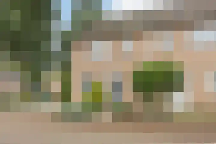 Kroezel 2 Uden thumbnail 5