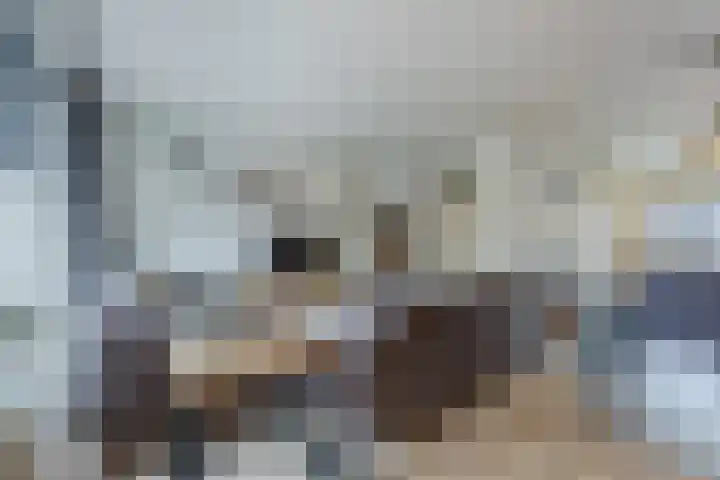 Kroezel 2 Uden thumbnail 9