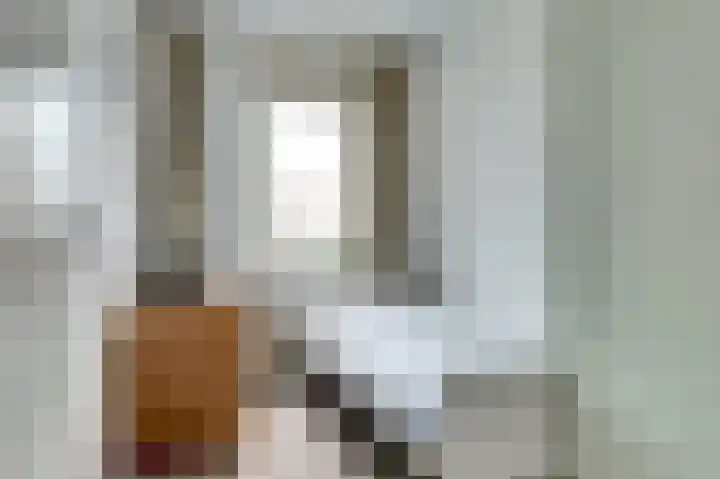 Krokus 24 Andijk thumbnail 12